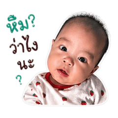 Phueng_2540