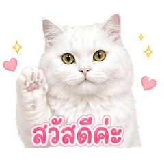 Hipoji