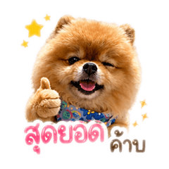 PumaPopstar: The Ultimate 40 stickers