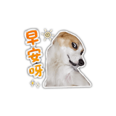 Hana科基崩壞日常