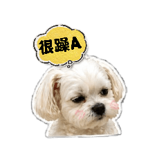 謝培果的小小心機(夯語篇)