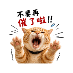 喋喋DayDay (上班厭世系列）