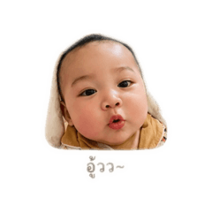 Tintinn_20260427230256
