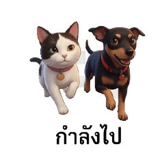 paiboon_20260427225916