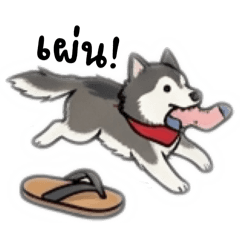 Naughty Dog : Whiskey