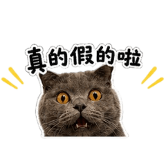 黑糖加麻糬