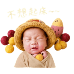 哇系嘟寶