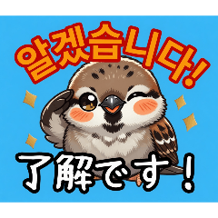 Sparrow Chi-chan 01_JP&KR Daily