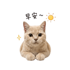 檸萌の日常生活