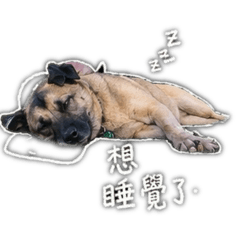 肥嘟嘟肥滋滋