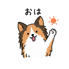 Fluffy Dog Daily Chat