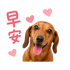 寶貝乖乖的日常用語1