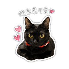 Aiko&朱百萬的日常趴兔