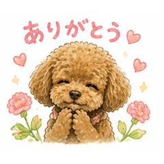 Little Choco's Smile