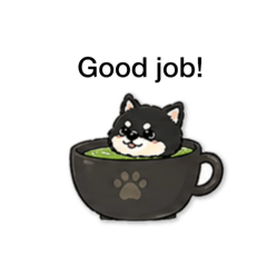 Cute Mameshiba dog