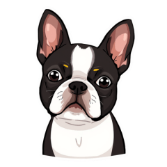 honorific language boston terrier