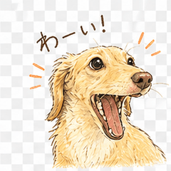 Fluffy Dachshund Stickers