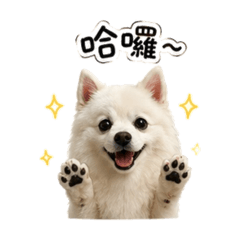 嘟比の一天