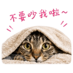 屁貓實用貼圖part 4 !