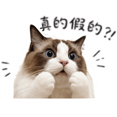 小ODEN《第二彈》實用日常貼圖