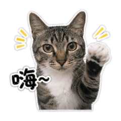 嚕嚕 （1之行）