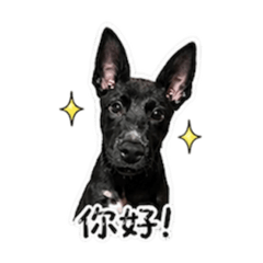 賴黑糖ㄉ貼圖①