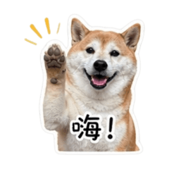 住在苗栗的黃哈吉