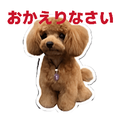 Momo-chan original stamp vol 20