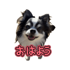 luke.r_20260429131005