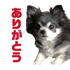 SHINYA_20260429131316