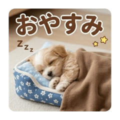 ashi_20260429131404