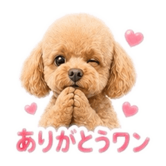 TOMOMI_20260429131216