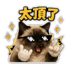 陳嘟嘟愛說話