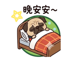 巴哥的日常：嚇死寶貝了