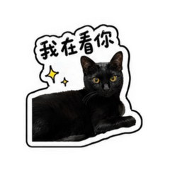 黑嚕咪咪咪咪