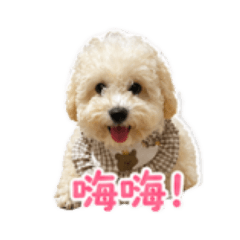 麻糬小狗表情包
