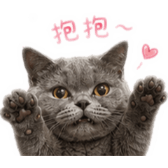 最最最可愛的黑糖糕