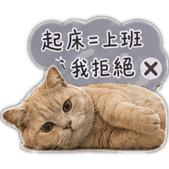 不想上班的咪幾