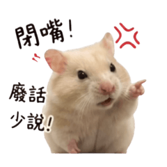 小布丁♡生氣篇