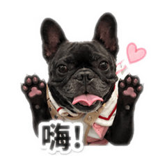 偶宜的上班日常