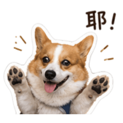 咖啡任務CIC-蒂蒂