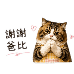 幼教老師專用