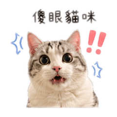 小喵喵萬用貼圖