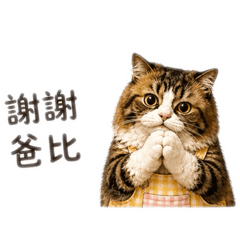 幼教老師專用貼圖