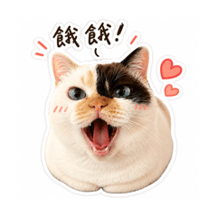 豬頭&巧虎