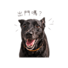 小黑妞妞