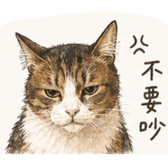 Lucky阿肥貓日常