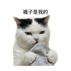 我叫煤球（日常篇）