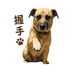 Lan Lan Di Money Money