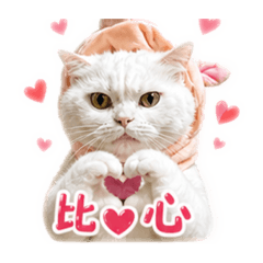 生活日常♥️